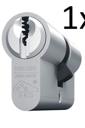 Exclusieve Aanbieding Mauer F3P cilinder (41DC1-F3P-NI)