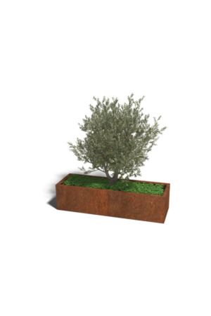 Beperkte Voorraad Cortenstaal plantenbak Texas XXL 160x60 cm