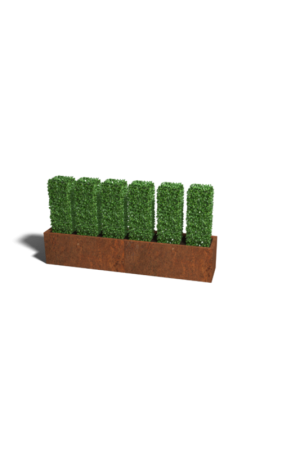 Beperkte Voorraad Cortenstaal plantenbak Texas XXL 200x40 cm