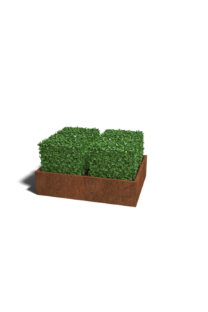 Bestel Nu Cortenstaal plantenbak Texas XXL 160x120 cm