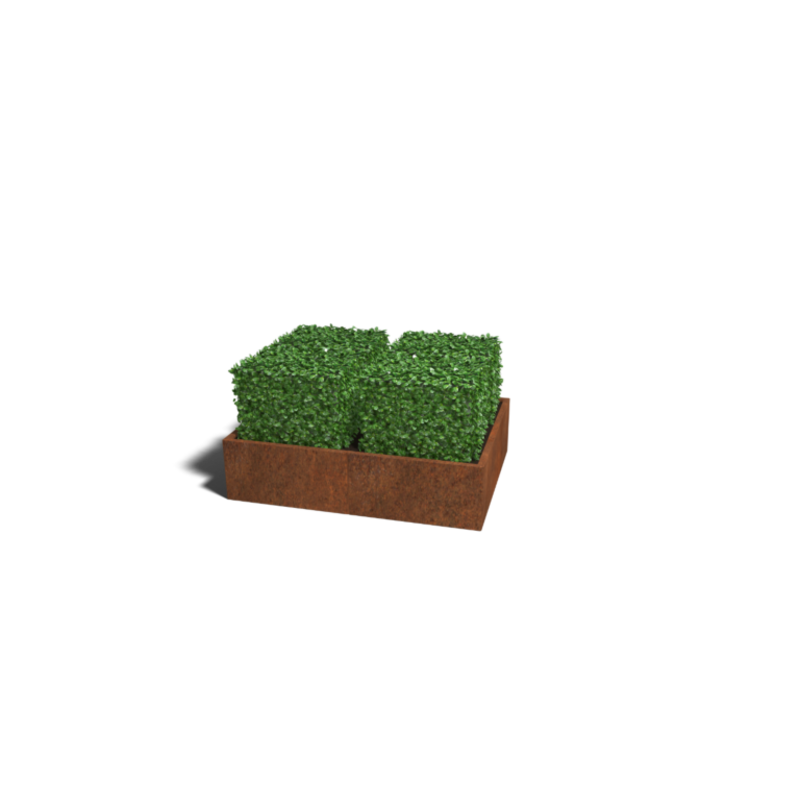 Bestel Nu Cortenstaal plantenbak Texas XXL 160x120 cm