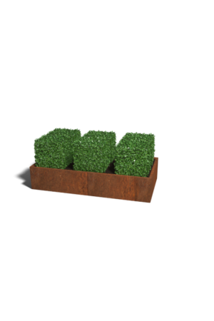 Alleen Vandaag Cortenstaal plantenbak Texas XXL 200x100 cm