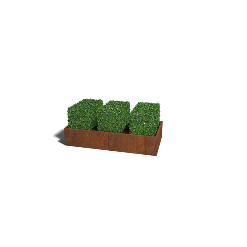 Alleen Vandaag Cortenstaal plantenbak Texas XXL 200x100 cm