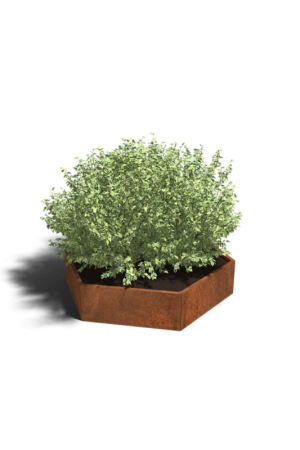 Cortenstaal plantenbak Denver 100 cm Tijdelijk Beschikbaar
