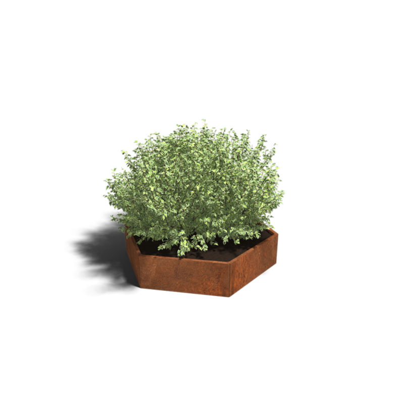 Cortenstaal plantenbak Denver 100 cm Tijdelijk Beschikbaar