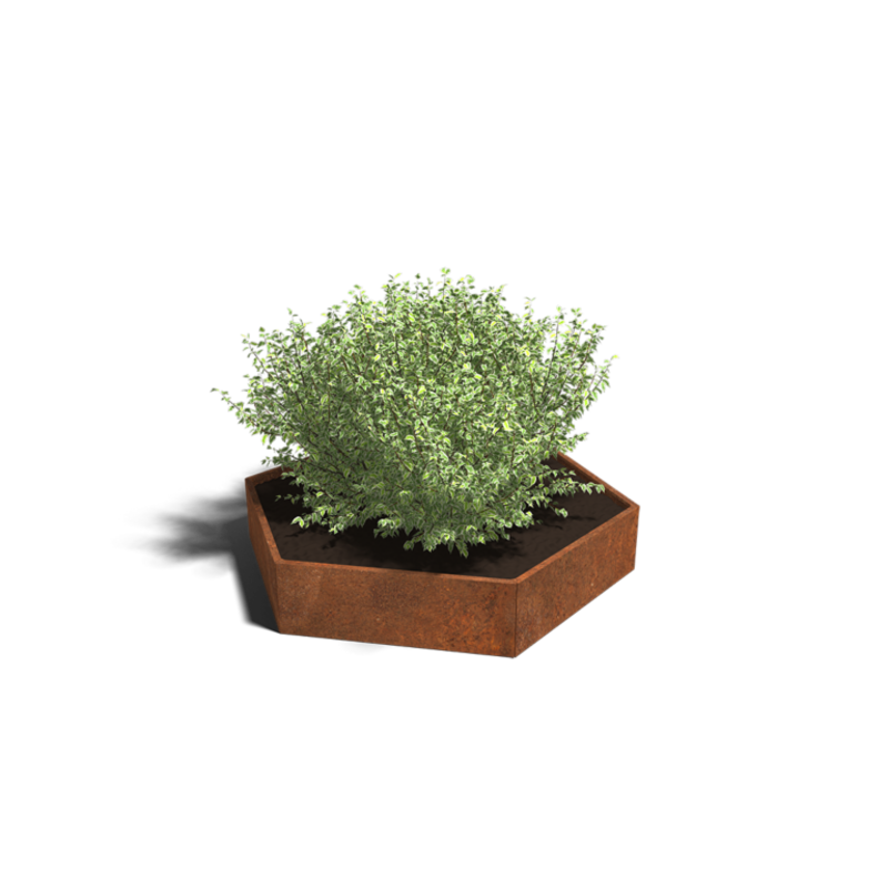 Cortenstaal plantenbak Denver 120 cm Favoriet