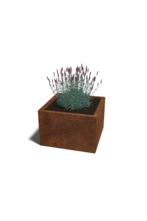 Cortenstaal plantenbak Miami 50x50 cm Must-Have