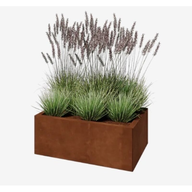 Betrouwbaar Cortenstaal plantenbak Texas 80x50 cm