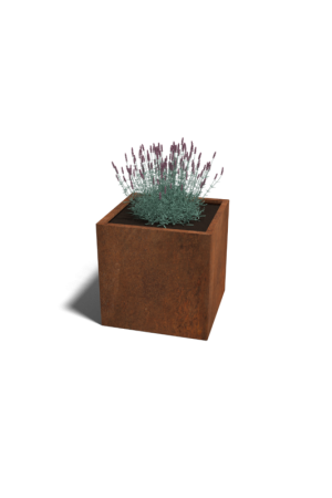 Cortenstaal plantenbak Miami 70x70 cm Fabrieksprijs
